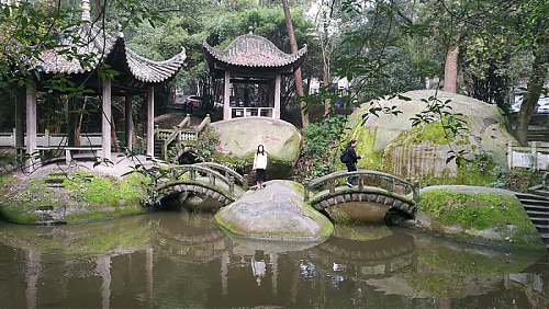 与名师同行 ——沈春媚名师工作室重庆行学习体会