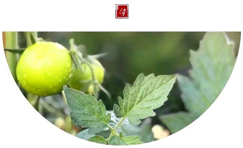 【活动报道】《正面管教》第三课
