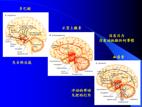 【活动报道】成瘾行为干预高阶培训
