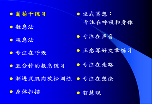 【活动报道】成瘾行为干预高阶培训