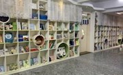 宗颖特级教师工作室万红行